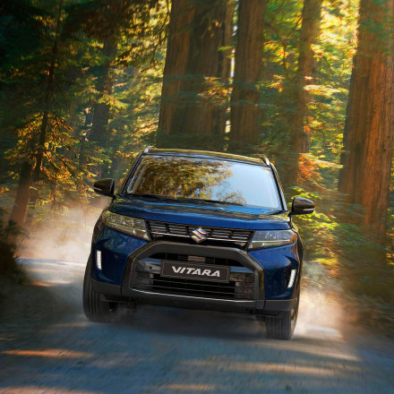 vitara various 327